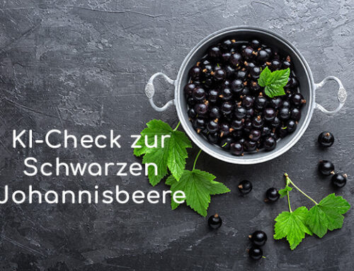 KI-Check mit THOZI: Schwarze Johannisbeere